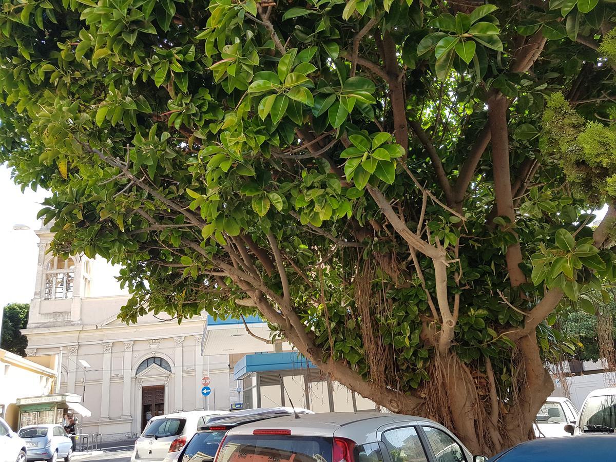 Da Agnese Locazioni Brevi Hotel Cagliari Exterior photo